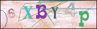 Registration Image