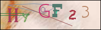 Registration Image