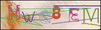 Registration Image