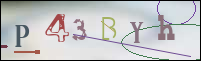 Registration Image