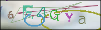 Registration Image