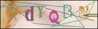 Registration Image