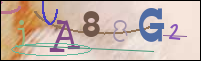Registration Image