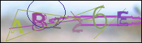 Registration Image