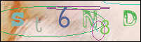 Registration Image