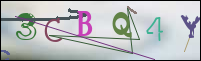 Registration Image