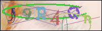 Registration Image