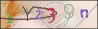 Registration Image