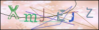 Registration Image