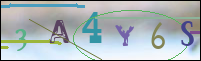 Registration Image