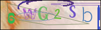 Registration Image