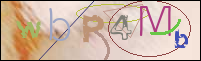 Registration Image