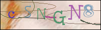 Registration Image